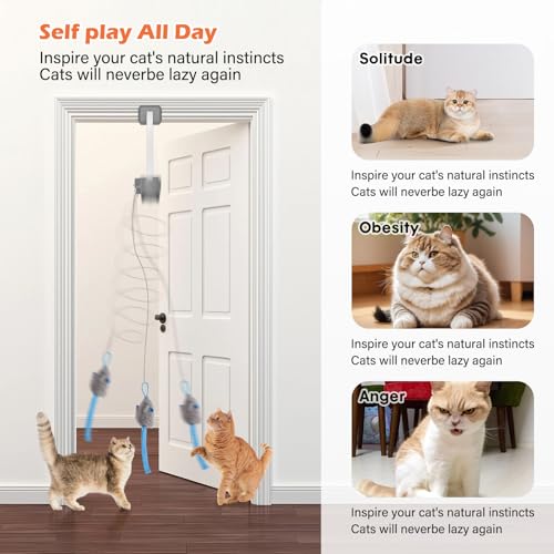 Interactive Cat Toy, Rechargeable Electric Cat Teaser, Hanging Door cat Toy, 2 Motion Modes (360° Spin & Irregular Jumping), Smart Auto Cat Toy for