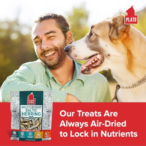 Plato Pet Treats Fish Dog Treats - Air-Dried, Single Ingredient Pet Treat - Omega 3 & 6 Fatty Acids to Support Skin and Coat - 100% Whole Fish - Wild