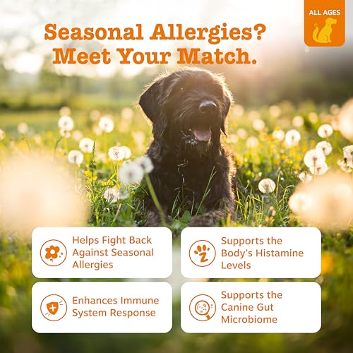 Zesty Paws Allergy Immune Bites - Dog Allergy Chews, Dog Probiotics for Itchy Skin and Ears, Peanut Butter, 90ct