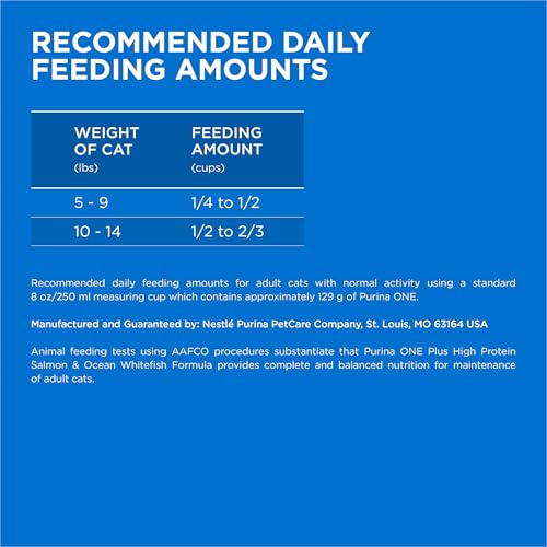 Purina ONE Plus High Protein Cat Food Dry Salmon and Ocean Whitefish Cat Skin and Coat Health Formula - 3.5 lb. Bag
