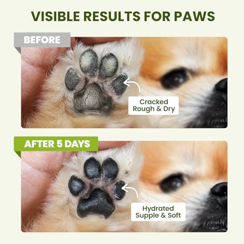 PawSono Lick-Safe Dog Paw & Nose Balm with Coconut Oil | All-Natural Moisturizer & Soother for Dry, Cracked Pads & Snout | Heat & Cold Pavement
