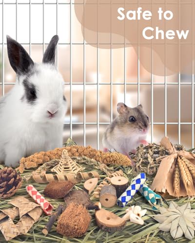 Bissap Rabbit Chew Toy, Natural Bunny Treats Snacks with Timothy Hay Water Grass Mat Coconut Husk Box for Guinea Pigs Chinchillas Hamsters Gerbils