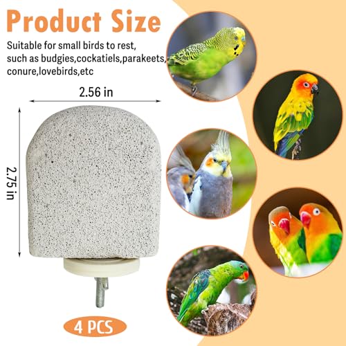 PINVNBY 4 PCS Bird Perch Stands Parrot Calcium Perch Beak Grinding Stone Foot Claws Trimmer Parakeet Platform Parrot Chewing Toys for Small Medium
