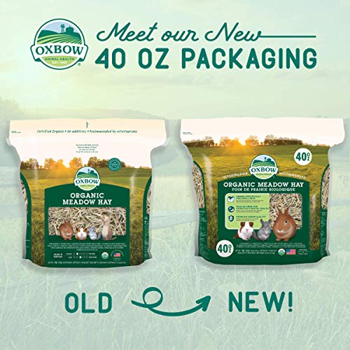 Oxbow Organic Meadow Hay, Guinea Pig & Rabbit Hay, Small Pet Bunny Supplies, All Natural Grass for Guinea Pig, Bunny, Chinchilla & Hamster, Rabbit