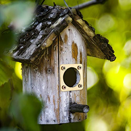 Metal Bird House Guard with Copper Portal Bird House Hole Protector Guard Replacement for Eastern Bluebird Houses Boxes 1 1/2 Inch Opening(8 Pieces)