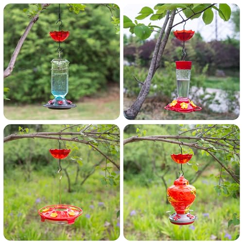 Ant Moat for Hummingbird and Oriole Feeder(5 OZ, 4 Pack) Umbrella Hummngbird Feeder Parts Hanging Ant Guard, Feeder Accessory Hooks