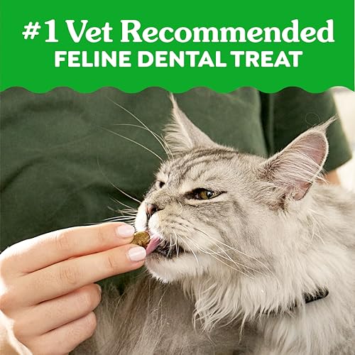 Greenies Cat Treats, Feline Veterinarian-Recommended Adult Natural Dental Cat Treats, Savory Salmon Flavor, 9.75 oz. Tub