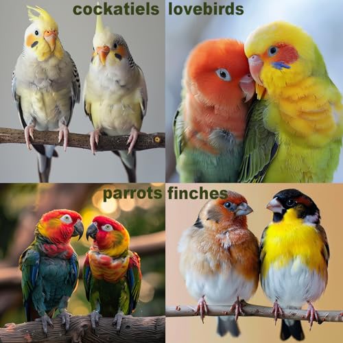 Bird Toys for Parakeets 7Pcs, Wood Parrots Budgie Cage Accessories, Bird Perch Swings for Small Conure Cockatiel Toys, Bird Ladder Swing for