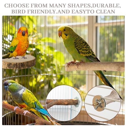 8 Pack Natural Wood Bird Perches, Parrot Perch Stand Bird Cage Accessories for Budgerigar Cockatiels, Conures, Lovebirds