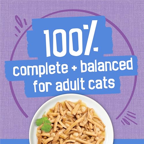 Purina Friskies Shreds Turkey and Cheese Dinner in Gravy High Protein Wet Cat Food - (Pack of 24) 5.5 oz. Cans