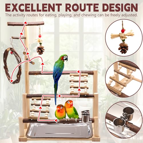 Bird Playground, Natural Wooden Parrot Stand Suitable for Small and Medium Birds, with Feeding Cups, Swing, Chew Toys,Bird Perch Ideal for Parakeets