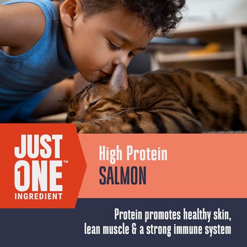 Whole Life Cat Just One Salmon Freeze Dried Cat Treats - Human Grade High Protein Food, Healthy Training Snacks, Freeze Dried Salmon Food Toppers