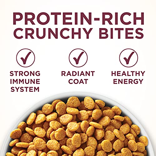Purina ONE High Protein Dry Cat Food, +Plus Urinary Tract Health Formula - 3.5 lb. Bag
