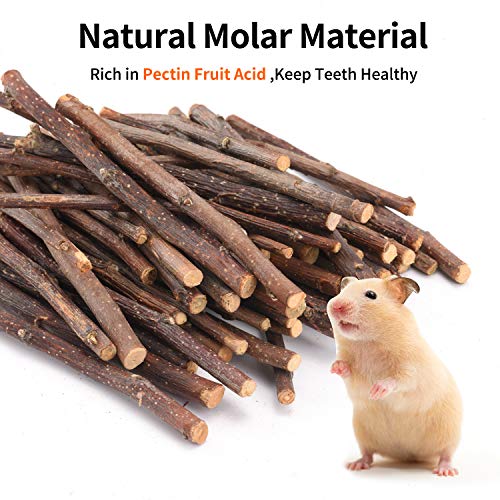 Natural Apple Sticks, 500g Treats Food for Small Animals, Chew Toys for Chinchilla Guinea Pigs Rabbit Squirrel Hamster Bunny