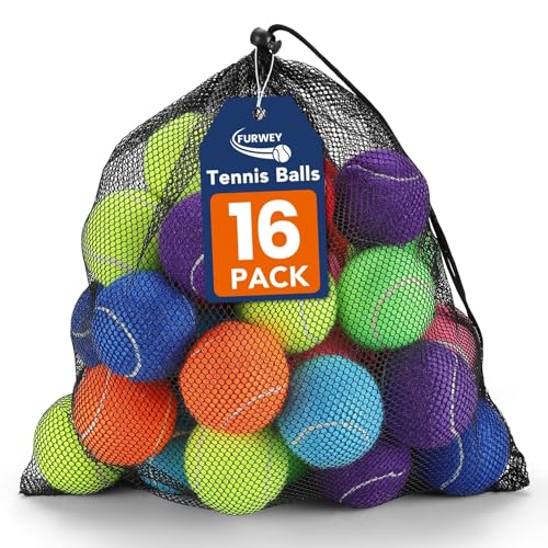 FURWEY Tennis Balls for Dogs 16 Pack,2.5 inches,Durable and Non-Toxic Dog Toys Balls with Mesh Bag,Colorful Fetch Toys Balls for pet Dog (Non Squeaky)