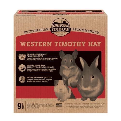 Oxbow Western Timothy Hay, Guinea Pig Hay, Small Pet Bunny Supplies, All Natural Grass for Guinea Pig, Bunny, Chinchilla & Hamster, Oxbow Rabbit