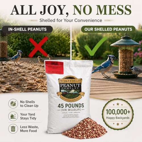 Wakefield Virginia Peanuts 45LB Bulk Bag Shelled Raw Unsalted for Squirrels, Birds, Deer, Pigs and a Wide Variety of Wildlife