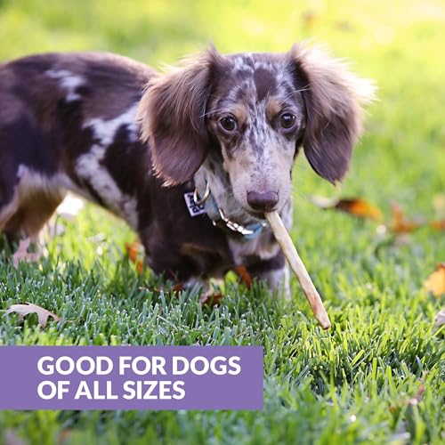 Wild Eats Real Duck Collagen Bully Sticks for Dogs (25 Pack,5 Inch) Long Lasting Dog Chews No Hide Dog Treat Bully Stick Alternative, Rawhide Free