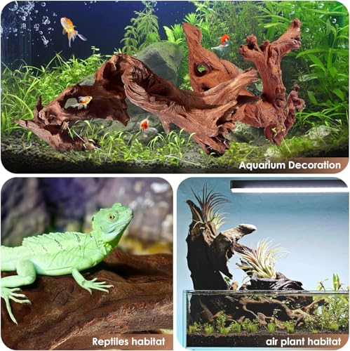 Jorewood Natural Small Aquarium Driftwood for Fish Tanks & Reptile Terrariums – 100% Safe Fish Tank Decorations, Unique Twisted Branches 5-Piece 4-8