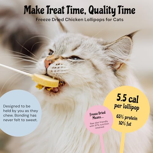 MalsiPree Cat Lollipop Treats - Interactive Cat Toy & Freeze Dried Cat Treats - Fun Suckers & Pops - Healthy Cat Birthday Treats, Cake Alternative