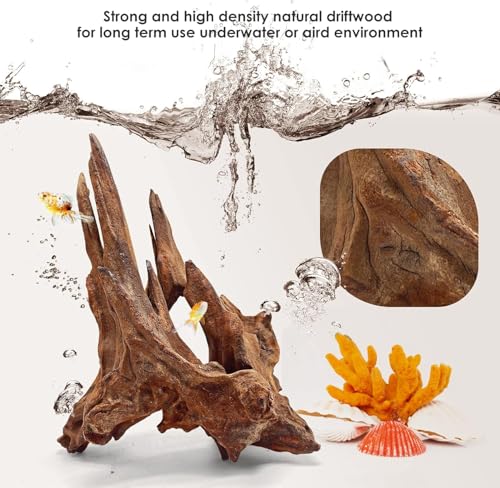 Jorewood Natural Small Aquarium Driftwood for Fish Tanks & Reptile Terrariums – 100% Safe Fish Tank Decorations, Unique Twisted Branches 5-Piece 4-8