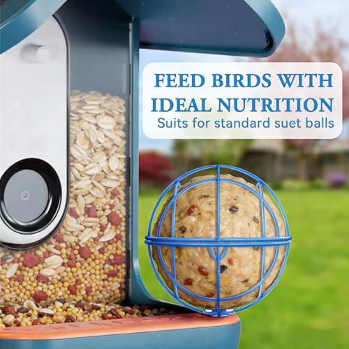 Metal Suet Ball Holder for Bird Buddy Smart Feeders & Others with 5mm Screw Hole for Accessory, Compatible with BirdBuddy Feeders, Durable Add-on