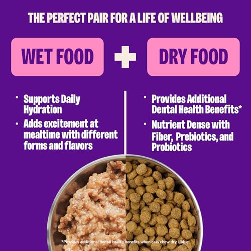 Wellness Complete Health Pate Variety Pack Kitten Canned Wet Cat Food, Natural, Protein Rich, Grain Free, Whitefish and Chicken Recipes, 3 oz, Pack