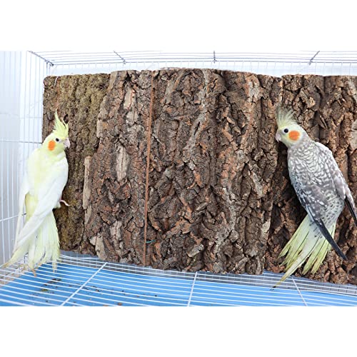 2 Pack 12 x 8 Inch 100% Natural Cork Perch, Bird Cork Seat Boards, Birdcage Bark Decor Accessories for Birds Parakeets Budgie Parrot Cockatiel