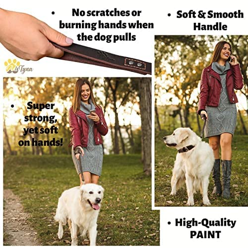 ADITYNA Leather Dog Leash 6 ft x 3/4 inch - Soft, Strong, Heavy Duty for Large & Medium Breeds - Dog Lead for Walking, Training, Hiking and Running
