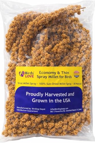 Birds LOVE Millet Tips & Tails for Birds - Parakeets, Cockatiels, Lovebirds, Finches, Budgies, Canaries, Cockatoos - Natural & Healthy Millet for