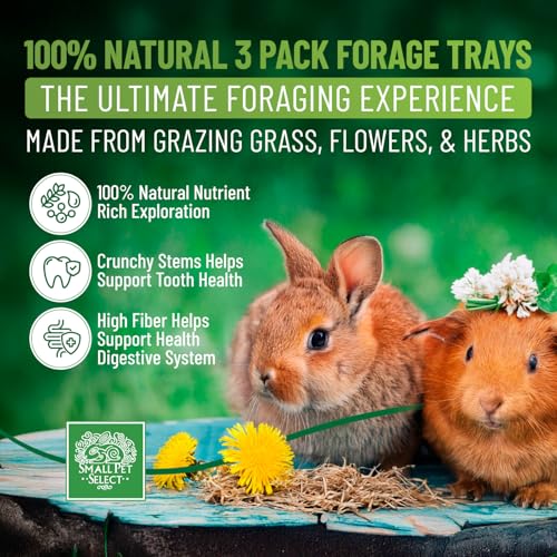 Small Pet Select Forage Tray Bundle, 3 Pack of Foraging Trays for Rabbit, Guinea Pig, Hamster or Bunny - Natural Treats, Dandelion, Flower, Herb Mix