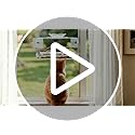 Window Bird Feeder with Non-Marking Self-Adhesive Hooks, Clear and Transparent, Outdoor Wild Bird Watching Gift, Garden Decor (Standard)