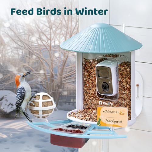 NETVUE by Birdfy Pro Perch - Wider Extension Perch to DIY Add-ons Including Suet Ball, Mini Hummingbird Feeder, Fruit Holder, Jelly Feeder and