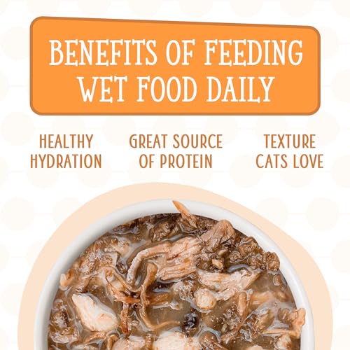 Weruva Cats in the Kitchen, Pantry Party Pouch Variety Pack in Gravy Cat Food, 3oz Pouch (Pack of 12)