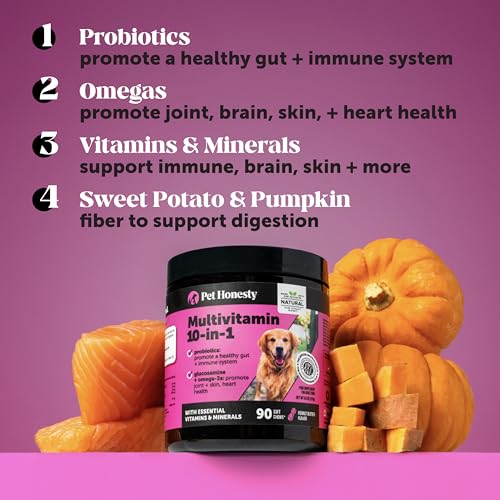 10-in-1 Dog Multivitamin Supplement with Glucosamine & Probiotics - Hip & Joint Support, Digestive Health, Immune Support, Heart & Skin - All-in-One