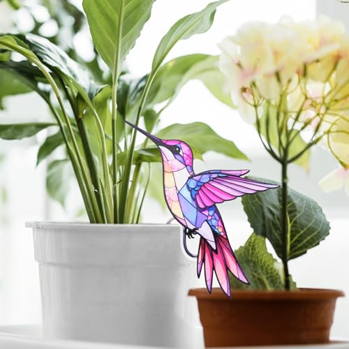 Hummingbird Gifts for Women, Hanging Plant Planter for Indoor Outdoor Garden, Mothers Day Birthday Gifts for Mom Grandma from Daughter Son, Bird