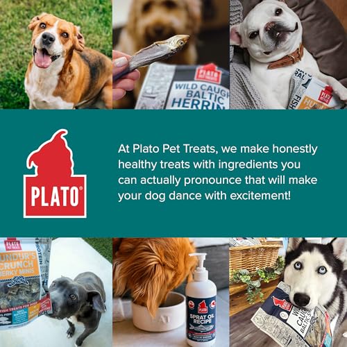 Plato Pet Treats Fish Dog Treats - Air-Dried, Single Ingredient Pet Treat - Omega 3 & 6 Fatty Acids to Support Skin and Coat - 100% Whole Fish - Wild