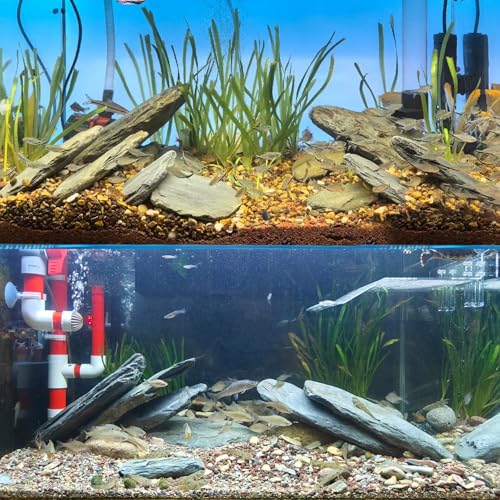 Aquarium Stone Natural Slate Stream Turtle Tank Rocks 3-7 inches Fish Rock for Aquarium Aquascaping Shrimp Tanks Amphibian Enclosures Paludarium-5lb