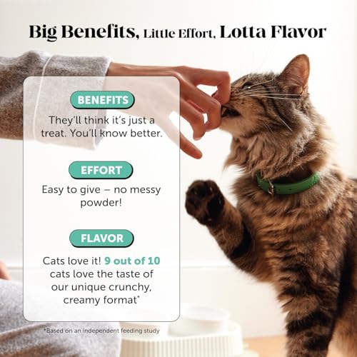 Fresh Breath Dental Bites for Cats – Crunchy & Creamy Cat Dental Treats for Fresh Breath, Tartar & Plaque Control – Dual-Texture Cat Oral Care Bites