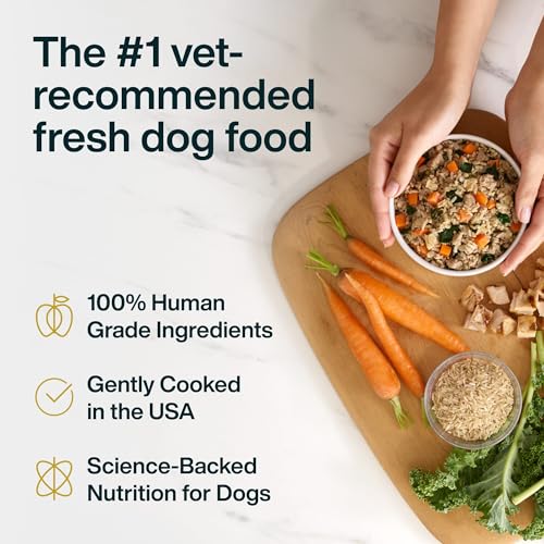 JustFoodForDogs JustFresh Wet Dog Food, Fresh Pet Meals and Toppers with No Preservatives, Resealable Package, Human Grade, Home-Cooked Chicken, 12