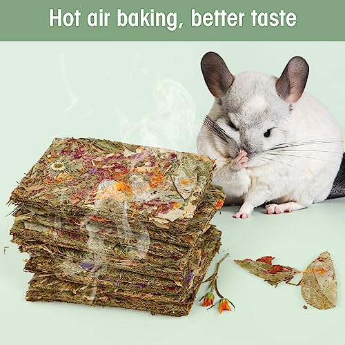 Abizoo Rabbit Natural Treats,10Pcs Timothy Hay Toys Chips Bunny chew Toys with Herbal Flowers Guinea Pig Treats for Hamster Chinchillas Gerbils Rats