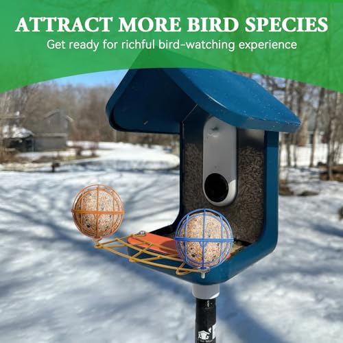Perch Extender for Bird Buddy Smart Bird Feeders, Durable BirdBuddy Add-on Accessory in Metal