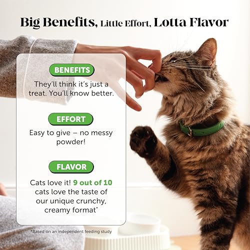 Cat Probiotics Gut + Immune Health Chews – Crunchy & Creamy Cat Treats for Digestive Health, Gut Flora & Constipation Relief – Supports Immunity