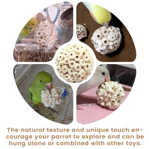 4PCS Bird Toys Sola Balls 2.36'' - Bird Foraging Toy, Sola Atta Ball, Parrot Chew Shred Toy for Sharpening Claws & Beaks for Cockatiel, Parakeets