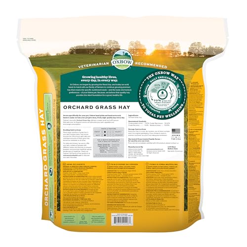 Oxbow Orchard Grass Hay for Small Pets – All-Natural Long Strand Fiber Hay for Rabbits, Guinea Pigs, Chinchillas, and Hamsters – Supports Digestive