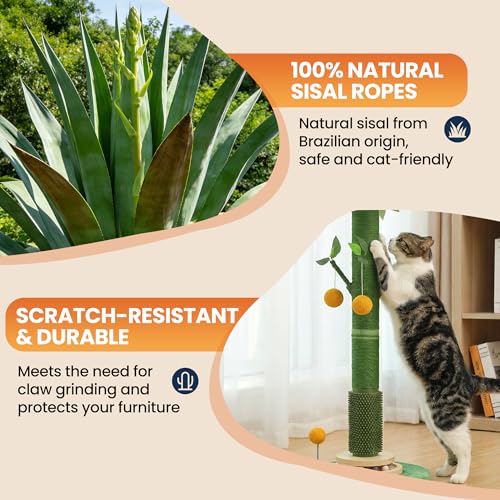 53" Extra Tall Cat Scratching Post for Large Cats, Heavy Duty Vertical Scratcher with Natural Sisal Rope, Stable Climbing Pole with Hanging Ball for