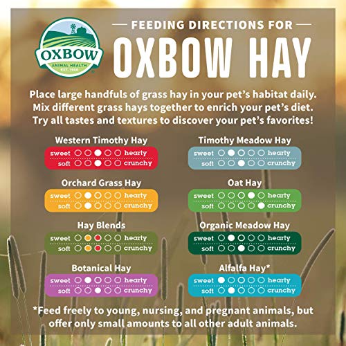 Oxbow Organic Meadow Hay, Guinea Pig & Rabbit Hay, Small Pet Bunny Supplies, All Natural Grass for Guinea Pig, Bunny, Chinchilla & Hamster, Rabbit