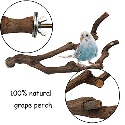 kathson Natural Parrot Perch Bird Stand Pole Wild Grape Stick Paw Grinding Fork Parakeet Climbing Standing Branches Toy Chewable Cage Accessories for