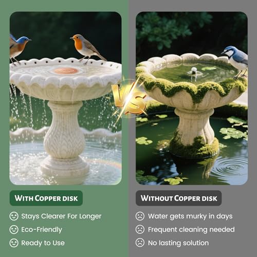 Bird Bath Copper Disk, 4 Inch 0.6mm Thick 99.9% Pure Copper Disc with Triple-Point Support, Natural Water Cleaner for All-Season Use, Universal Fit
