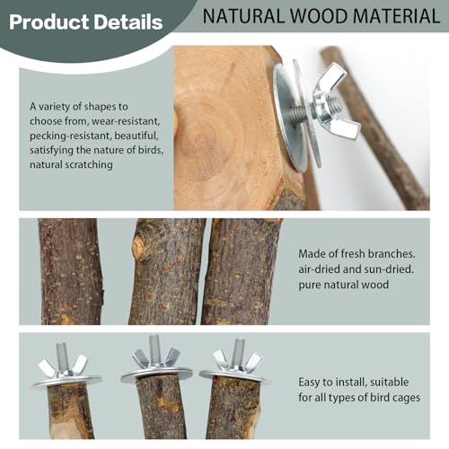 8 PCS Bird Perch Set for Cage - Natural Apple Wood Platforms & Hardwood Branches for Parakeets, Budgies, Cockatiels - Small Bird Habitat Gym